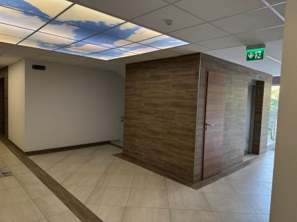 Oasis Residence15