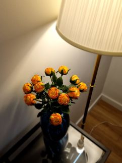 Panorama Loft@Cathedral Apartman18