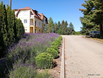 Oxigén Apartman8