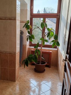 Elegáns Apartman14