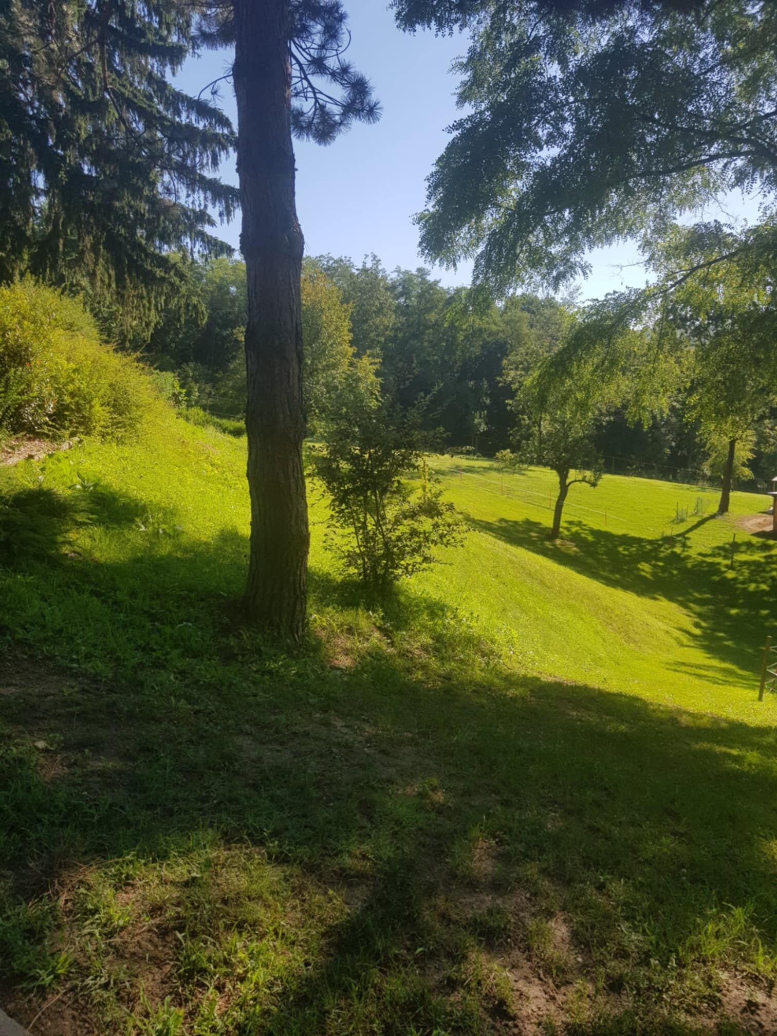 Villa Terézia – Murarátka fotó 22