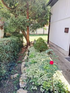 Város Szíve Apartman6