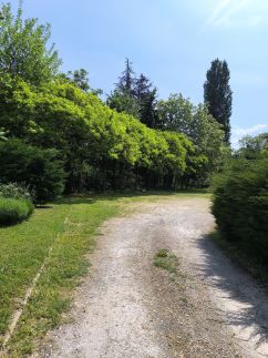 Silver House Apartman4