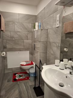 Emili Apartman85