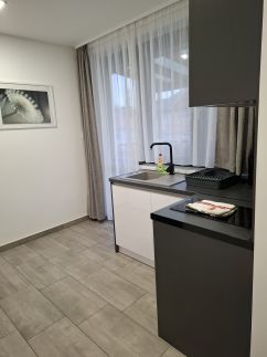 Emili Apartman121
