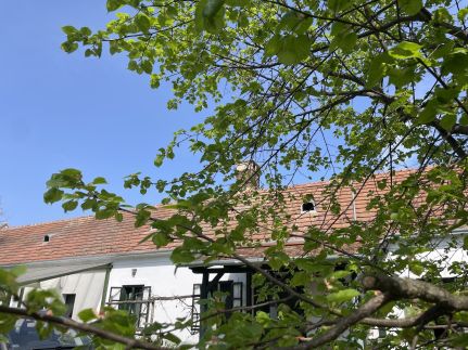 Balaton-felvidéki Parasztház15