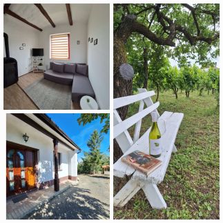 Mi kis lakunk Vendégház27