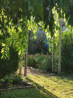 Lelle Cottage Vendégház2