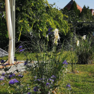 Lelle Cottage Vendégház