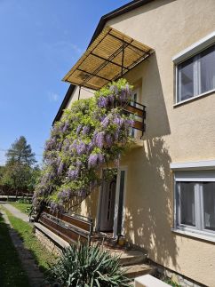 Taviszellő Apartmanok4