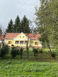 Patakparti Kuckó6