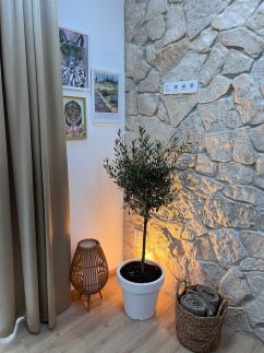 Pezsgő Apartman2