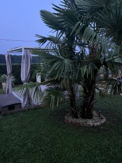Deseda Bungaló5