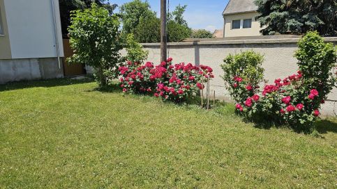 Dália Apartman44