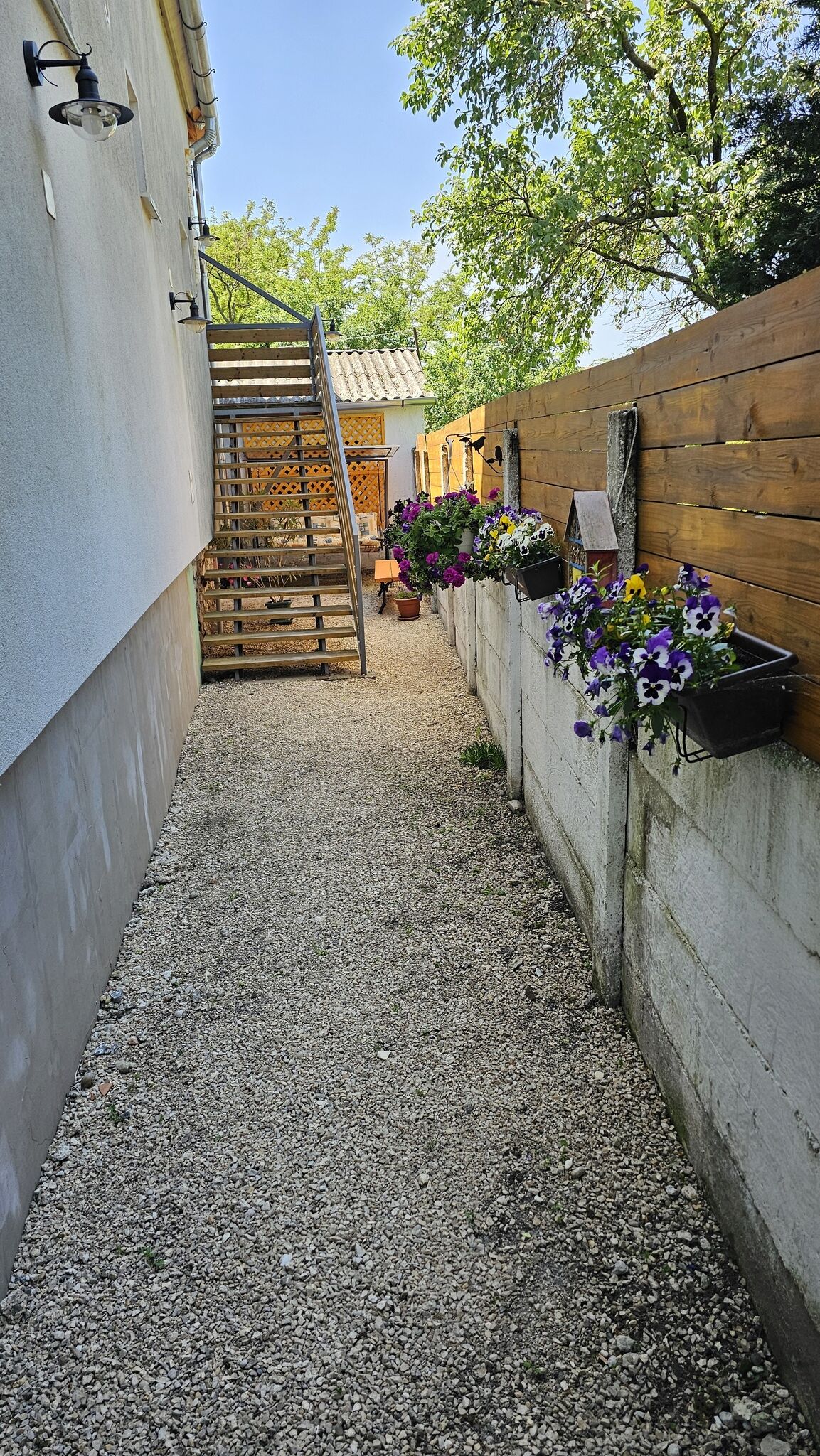 Dália Apartman – Pápa fotó 42