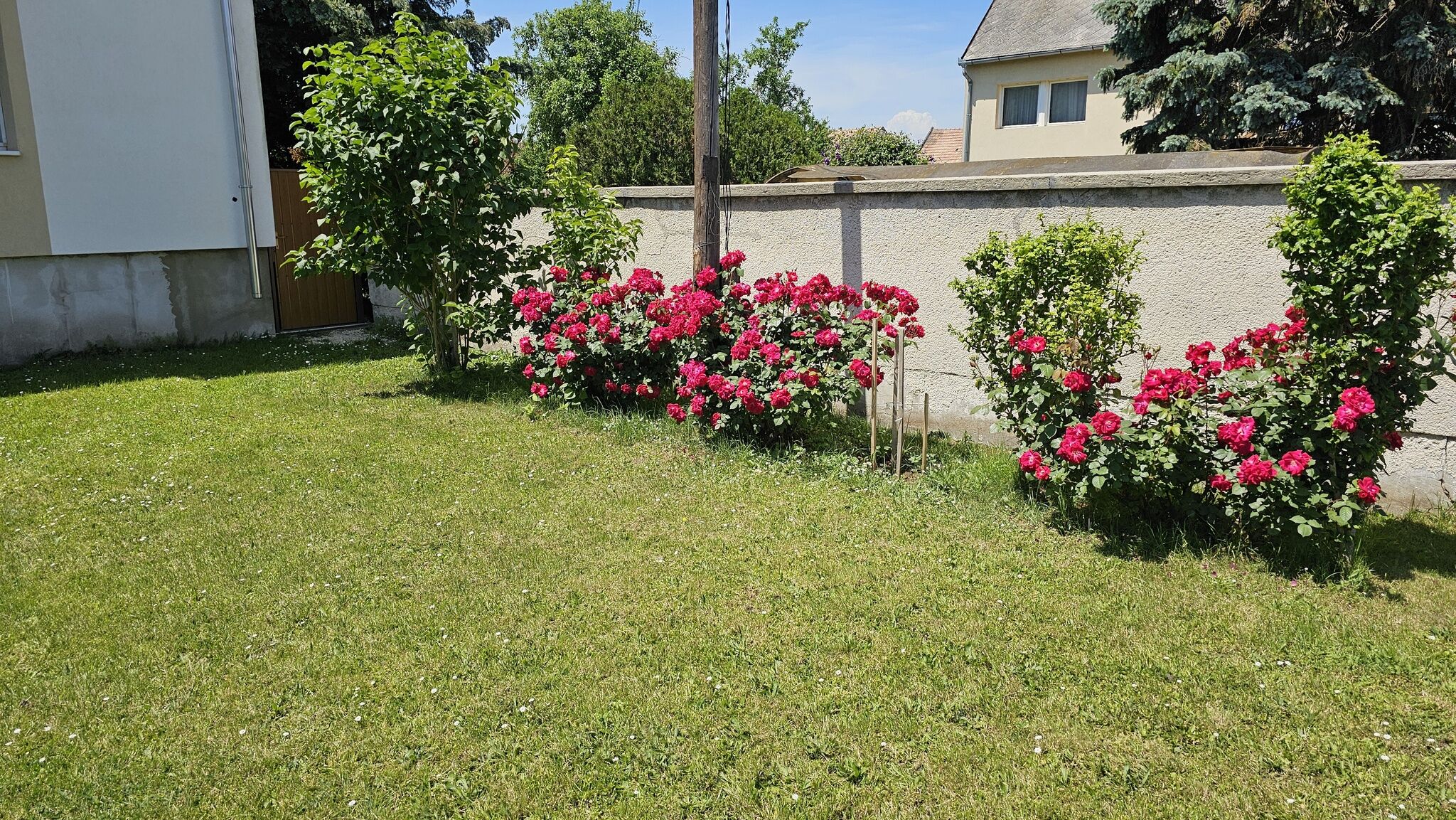 Dália Apartman – Pápa fotó 44