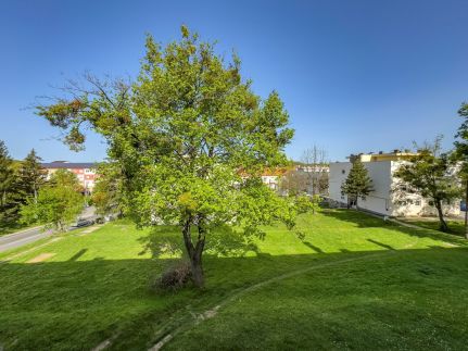 Becky Apartman1