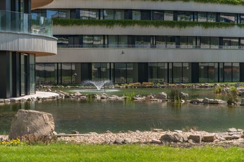 Cédrus Luxory Lake19