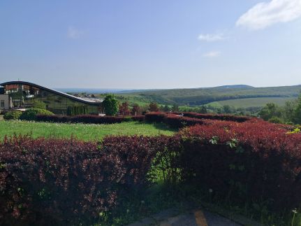 Sunrise Apartman26