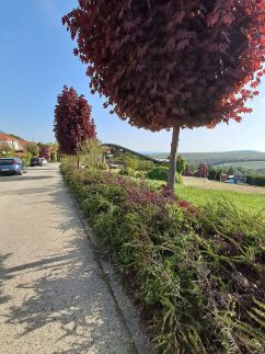 Sunrise Apartman28
