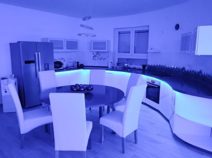 Regina Partyhouse1
