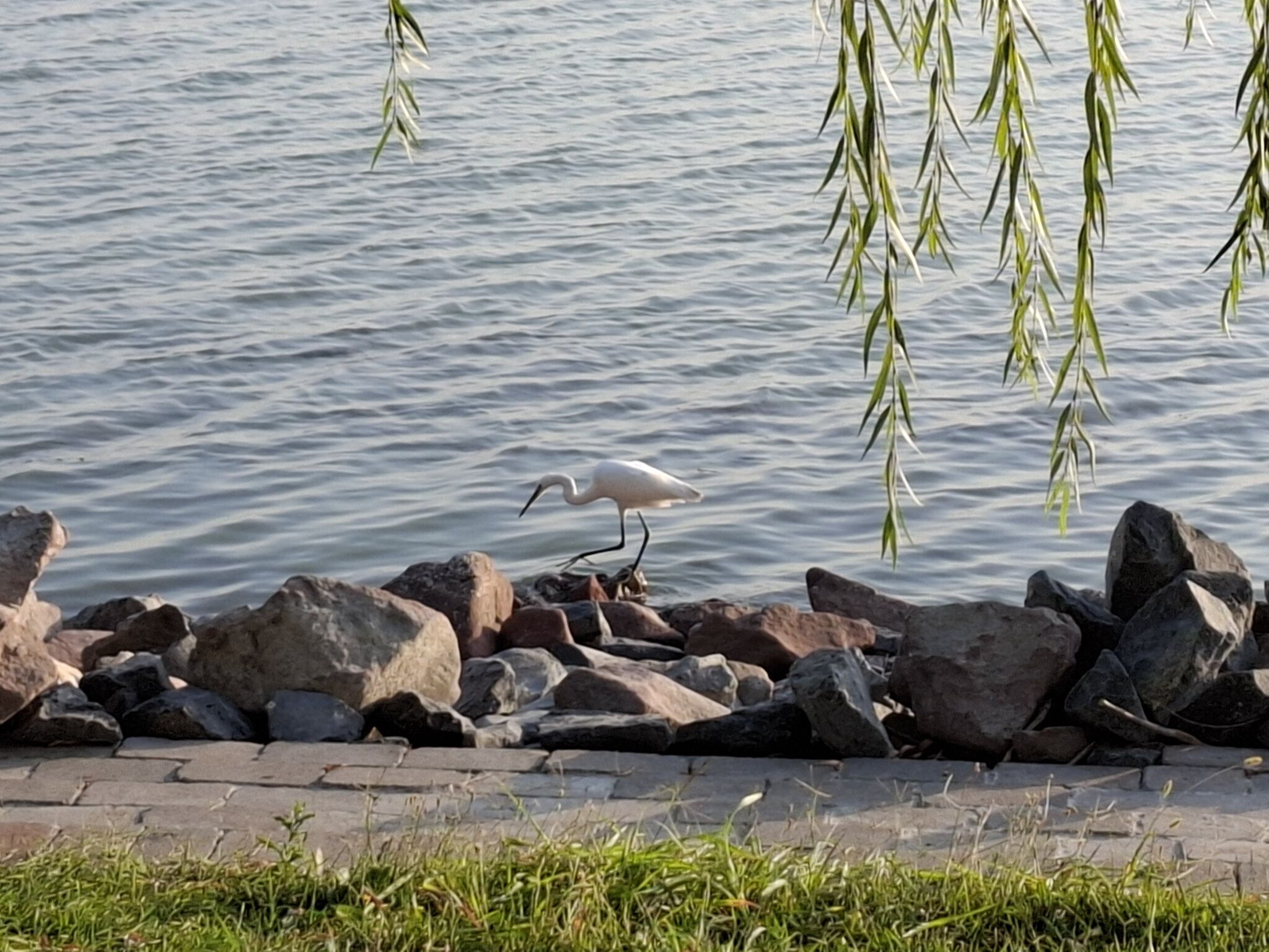 Napvirág Magánszállás – Balatonakarattya fotó 14