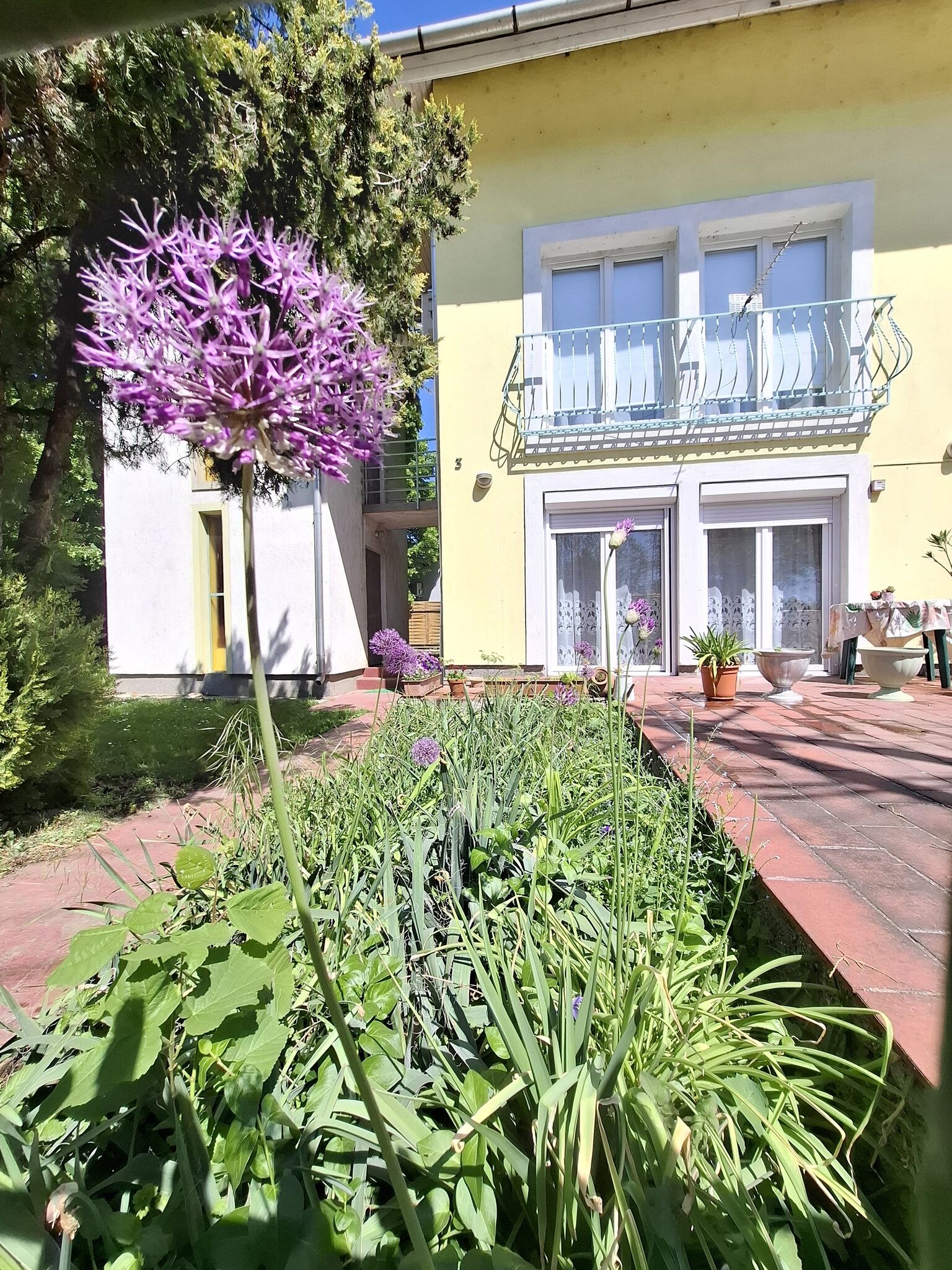 Napvirág Magánszállás – Balatonakarattya fotó 6