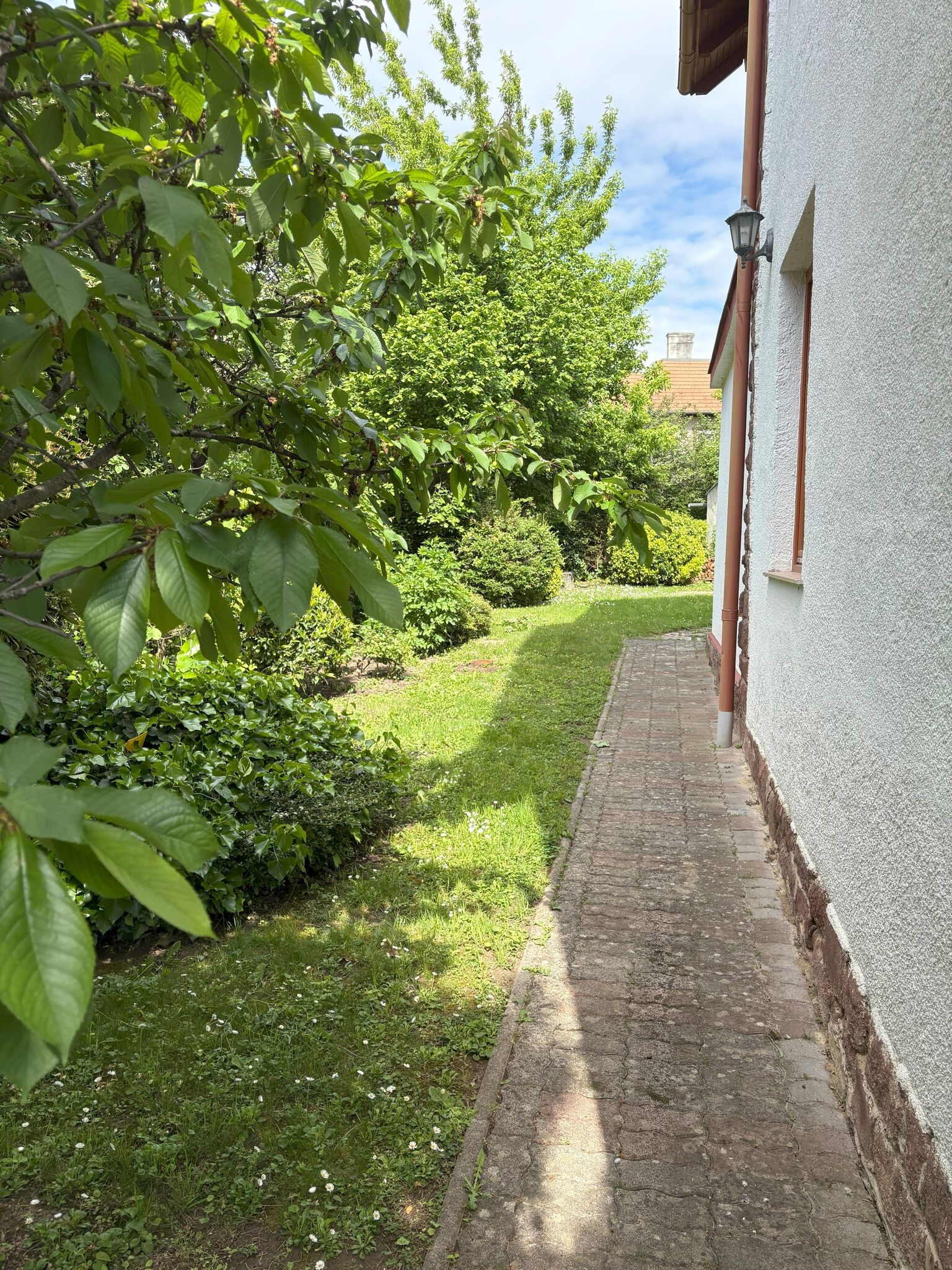 Villa Rosa - – Balatonalmádi fotó 23