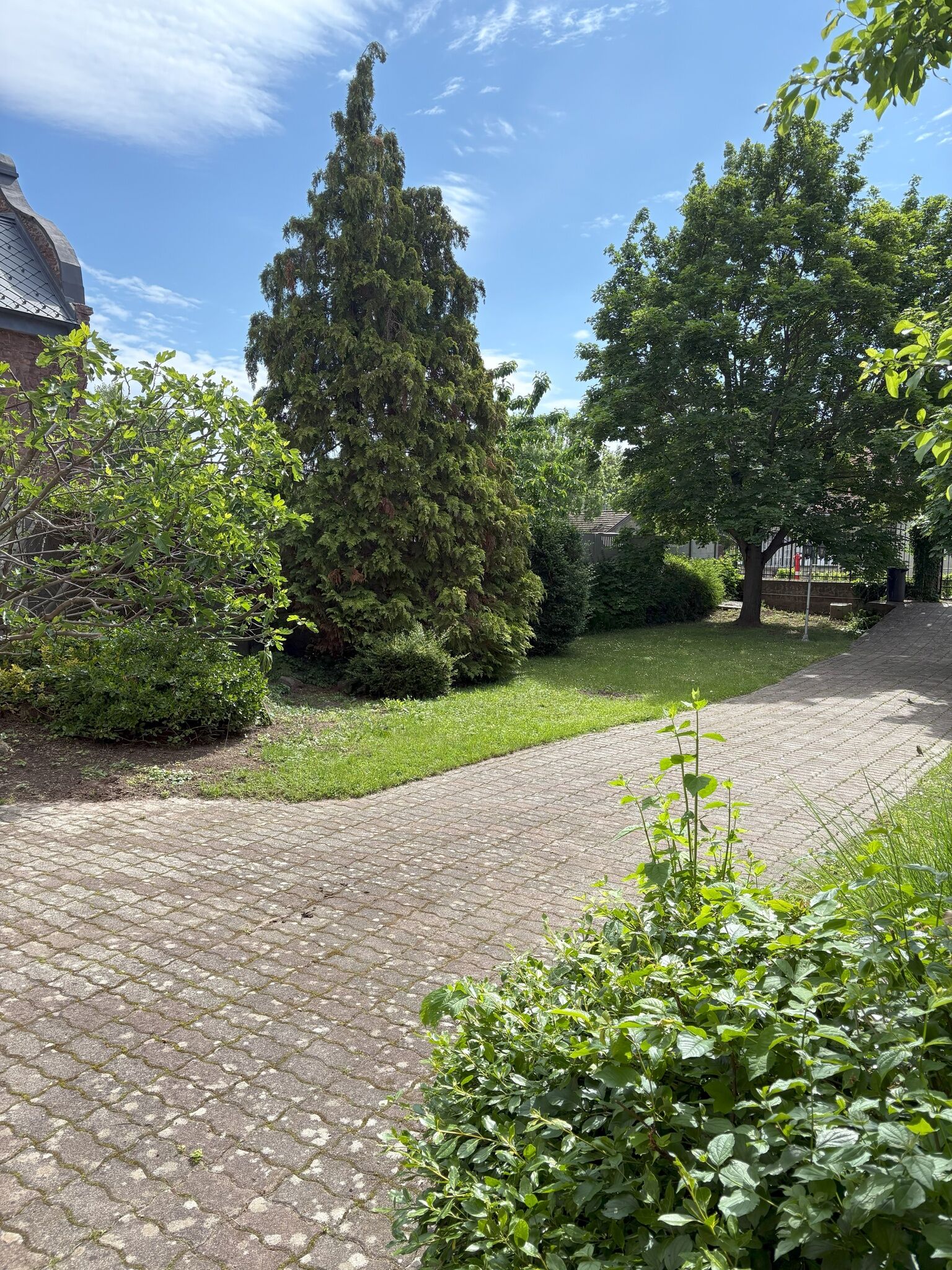 Villa Rosa - – Balatonalmádi fotó 24