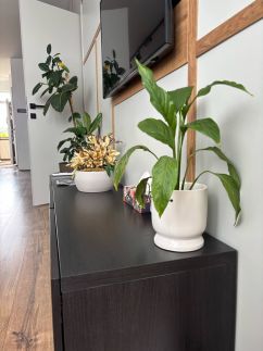 Taki Apartman15