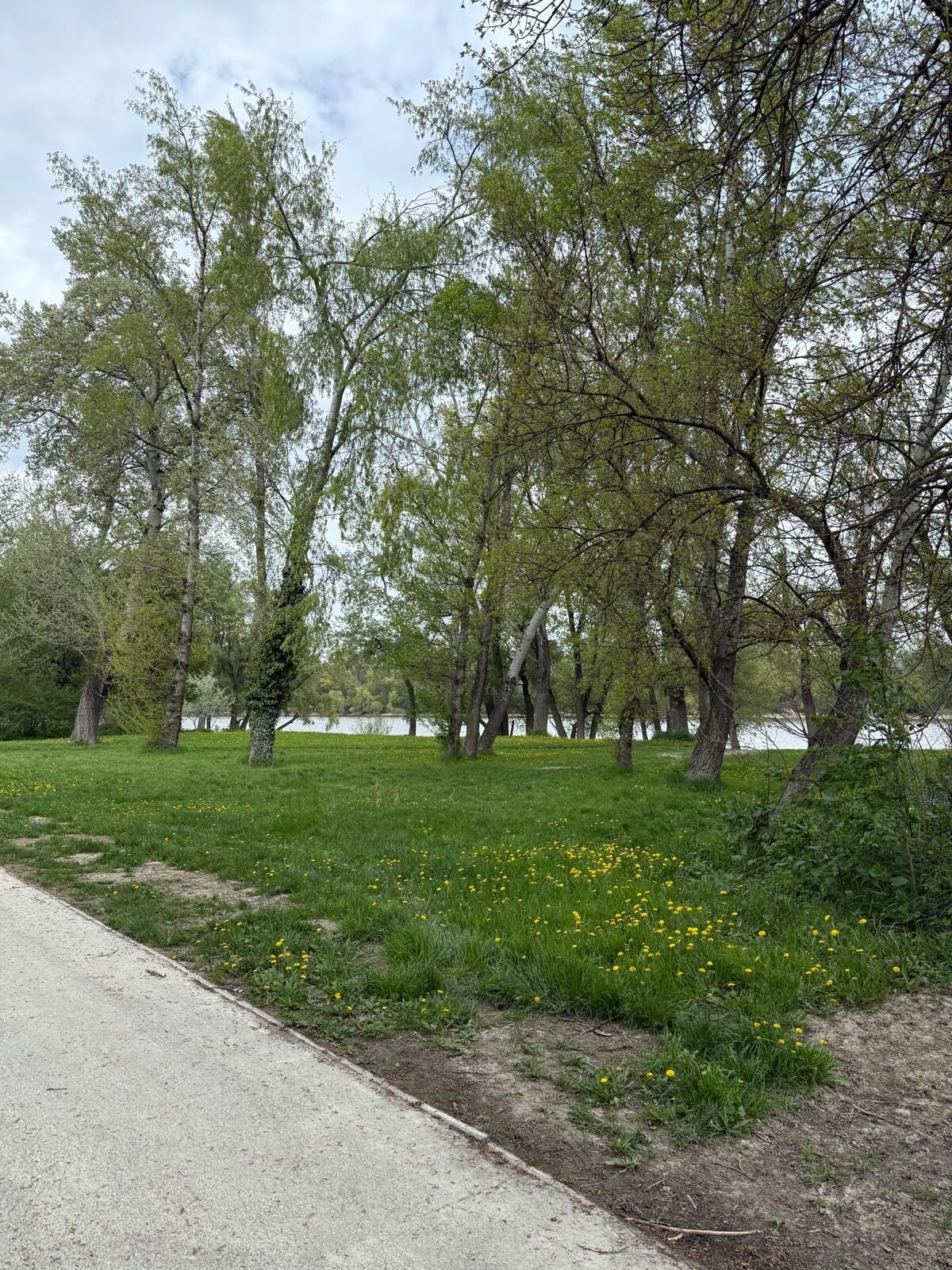 Kecó Apartman – Dunabogdány fotó 4