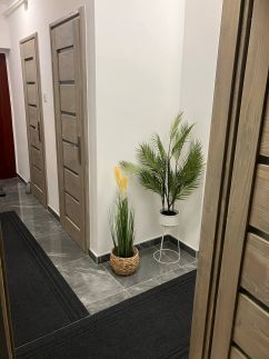 Központi Apartman 2.3