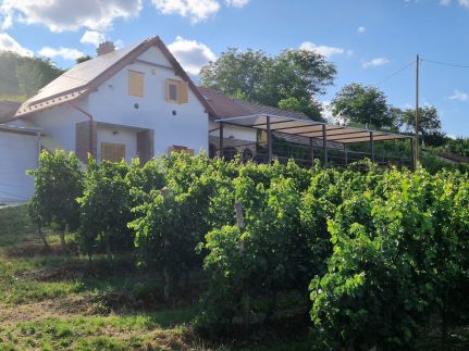 Werner Apartman4