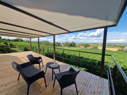 Werner Apartman5