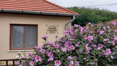 Faluvégi Vendégház9