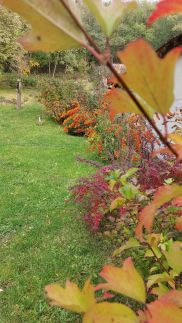 Faluvégi Vendégház5