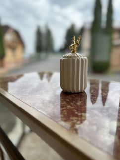 Marianna Apartman9