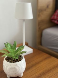 Marianna Apartman6