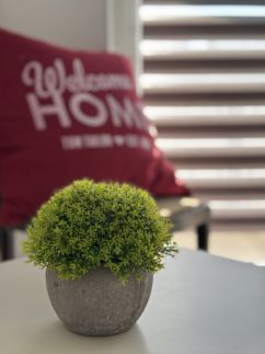 Marianna Apartman17