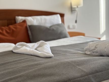 Alma 703 Wellness Apartman4