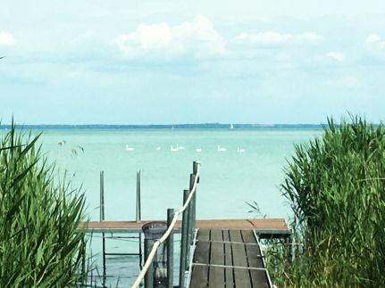 Beachfront Haven Faház17