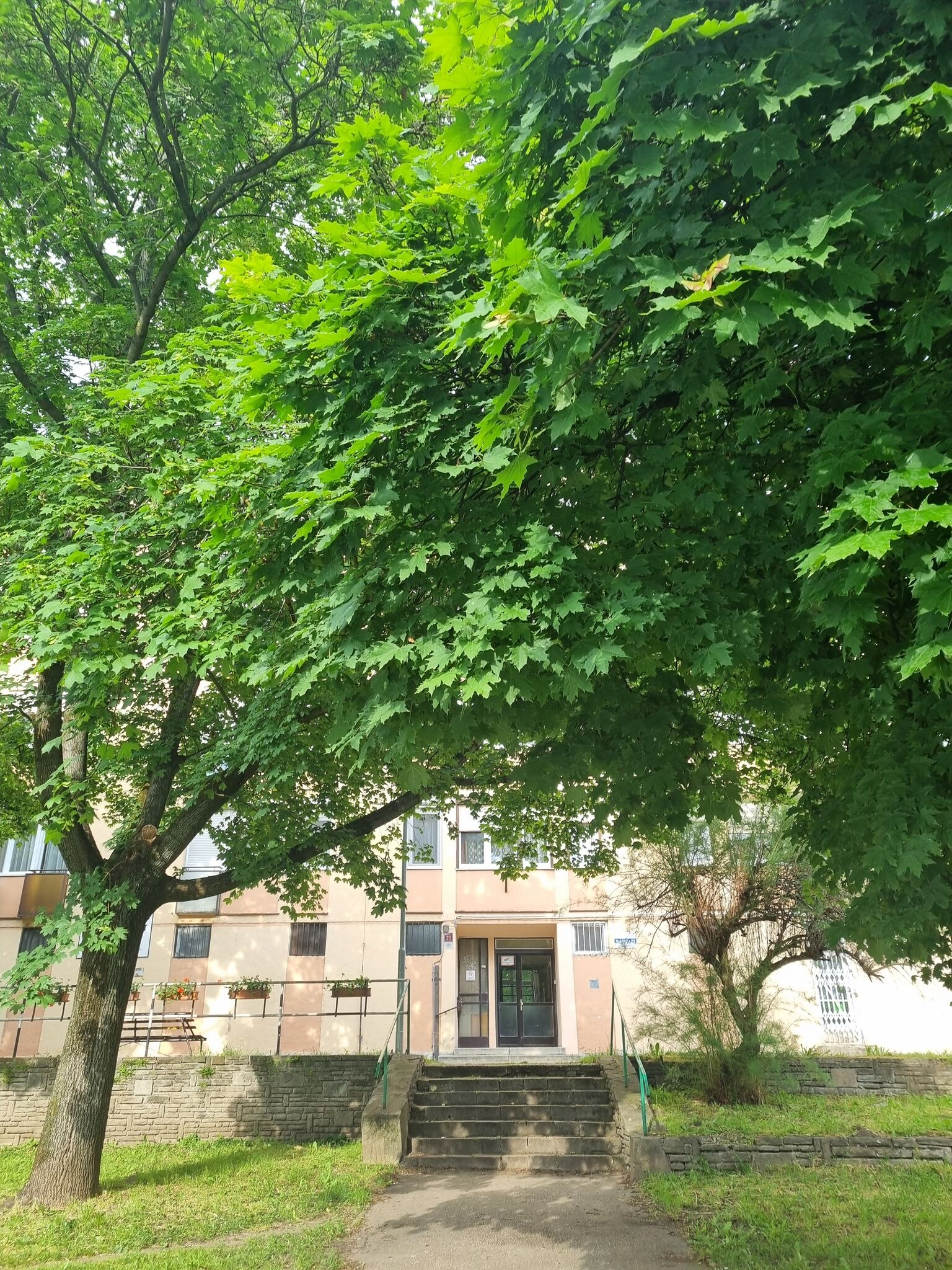 Turul Apartman – Tatabánya fotó 3