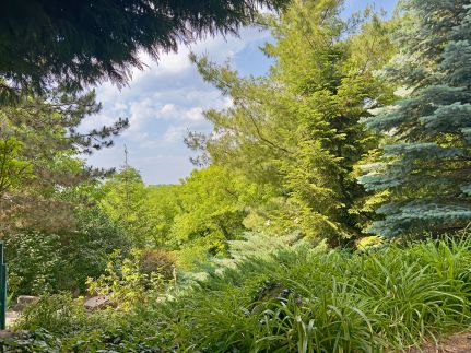 Szikla Vendégház12