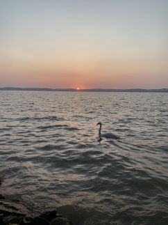 Lakeside Home Apartman