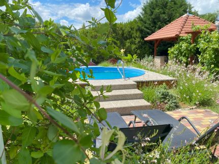 Villa Orchidea10