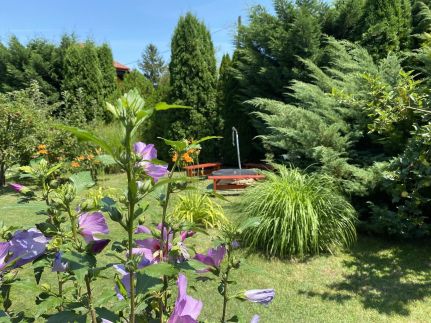 Villa Orchidea14