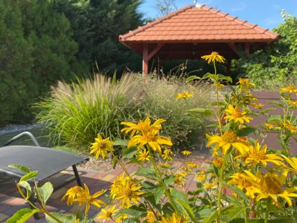 Villa Orchidea15
