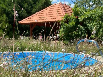 Villa Orchidea24