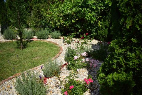 Villa Orchidea54