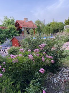 Villa Orchidea57